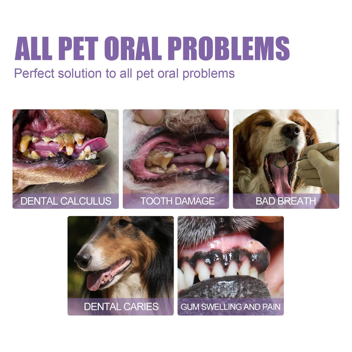 Pet Oral Gel – Cleaning, Whitening, and Tartar Removal for Dogs and Cats