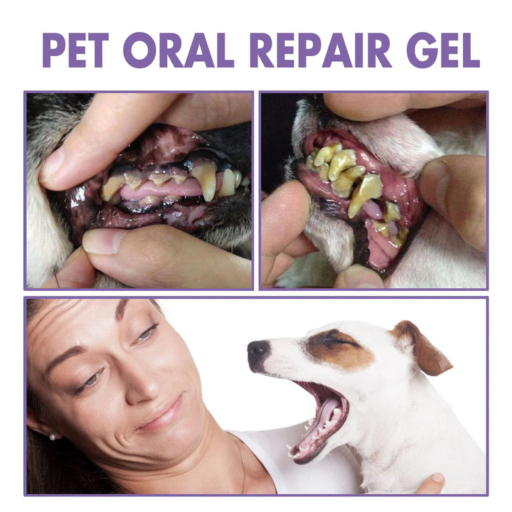 Pet Oral Gel – Cleaning, Whitening, and Tartar Removal for Dogs and Cats