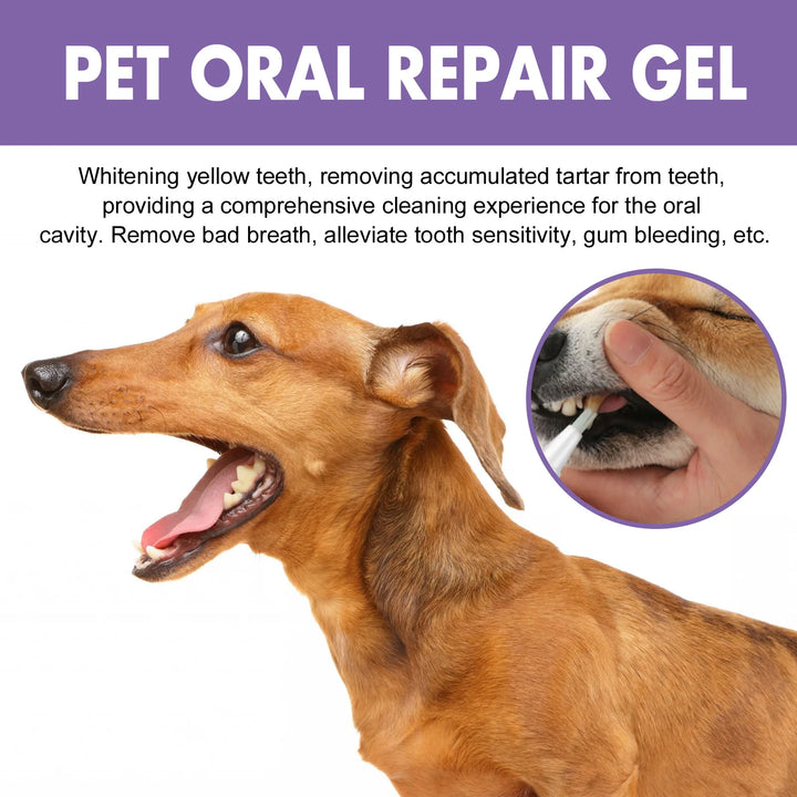 Pet Oral Gel – Cleaning, Whitening, and Tartar Removal for Dogs and Cats